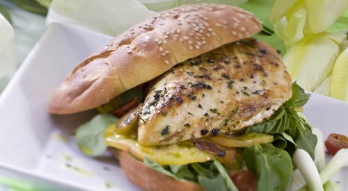 grilled chicken sandwich