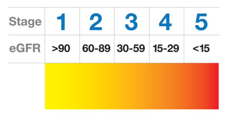 stages of chronic kidney disease. Stage 1 has a GFR of 90 or greater. Stage 2 has a GFR range of 60 to 90, Stage 3 has a GFR range of 30 to 59. Stage 4 has a GFR range of 15 to 29 and Stage 5 has a GFR of 15 or less