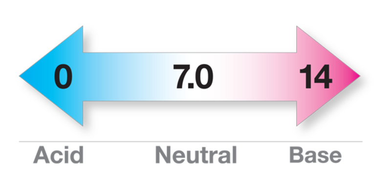 arrow showing ranges of pH levels: acid pH is 0, neutral pH is 7, and a pH of 14 is a base 