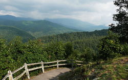 hillside scene