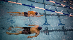 swimmers in a pool