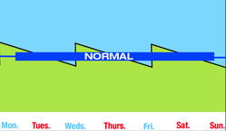 graph showing the much smaller ups and downs fluid and waste in the body when doing nocturnal dialysis