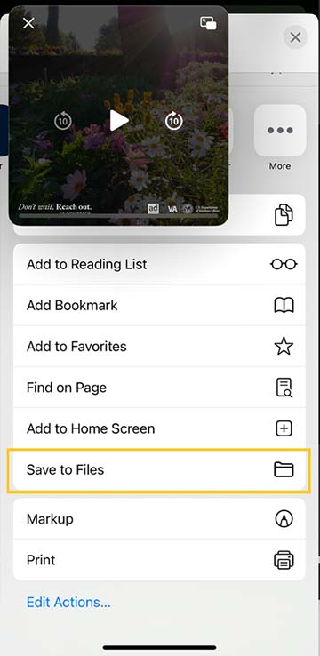 Highlighted box around "Save to Files" 