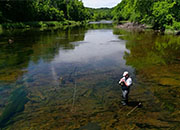 A person standing in a shallow river fly fishing