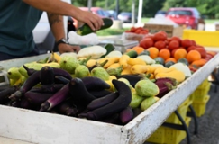 A fruit and vegetable stand.