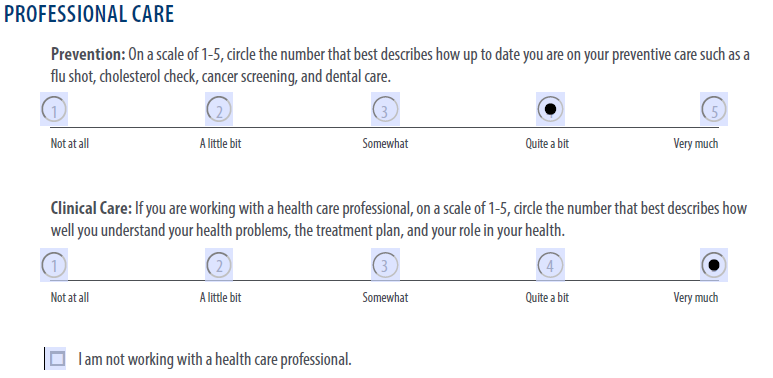 sample Professional Care item