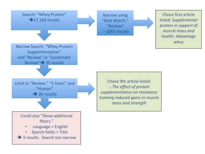 Flow chart: A box with a right arrow and down arrow. The text reads; Search: “Whey Protein” -> 17,169 results. The right arrow on this box points to a box that states: Narrow using “Best Match,” “Review” – 1055 results.  The right arrow from this box points to a final box that states: Chose first article listed: Supplemental protein in support muscle mass and health: Advantage whey.   The box below the down arrow on the “Search: Whey Protein” box includes its own down arrow, states: Narrow Search: “Whey Protein Supplementation” and “Review” or “Systematic Review” -> 55 Results. The down arrow from this box points to a box with a down arrow and a right arrow. This box states: Limit to ‘Review,” “5 Years” and “Human” -> 26 results.  The right arrow from this box points to a final box that states: Chose 9th article listed: …The effect of protein supplementation on resistance training-induced gains in muscle mass and strength. The box below the down arrow states: Could also “Show additional filters.”  -  Language = English  - Search fields = Title  -> 3 results.  Search too narrow