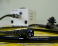 Flexible Endoscope