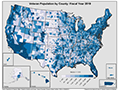 Thumbnail of the Veteran Population by County map